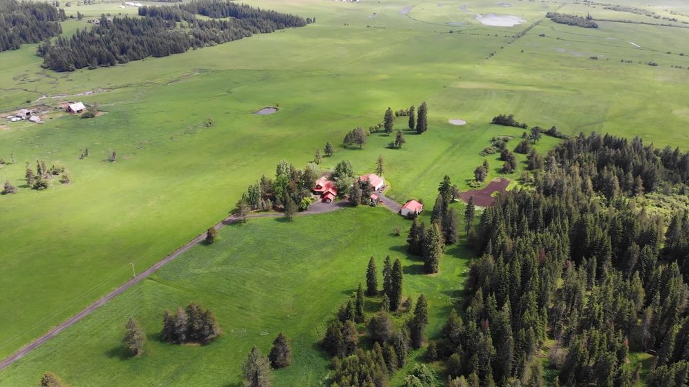Someday Ranch